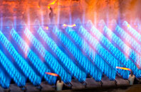 Gellinudd gas fired boilers